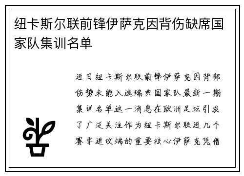 纽卡斯尔联前锋伊萨克因背伤缺席国家队集训名单 纽卡斯尔联前锋伊萨克因背伤缺席国家队集训名单